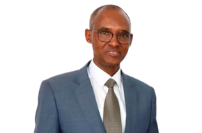 H.E. Ali D. Mohamed